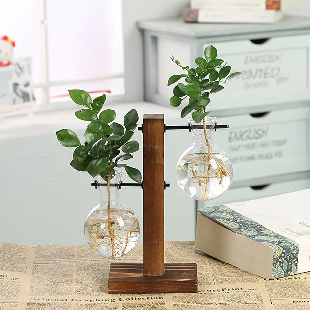 VerdantVistas - terrarium hydroponisk plantevase