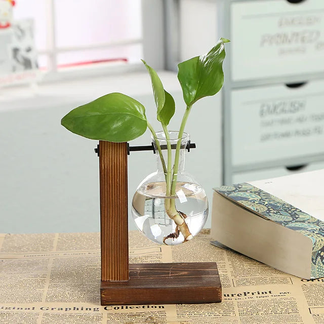 VerdantVistas - terrarium hydroponisk plantevase