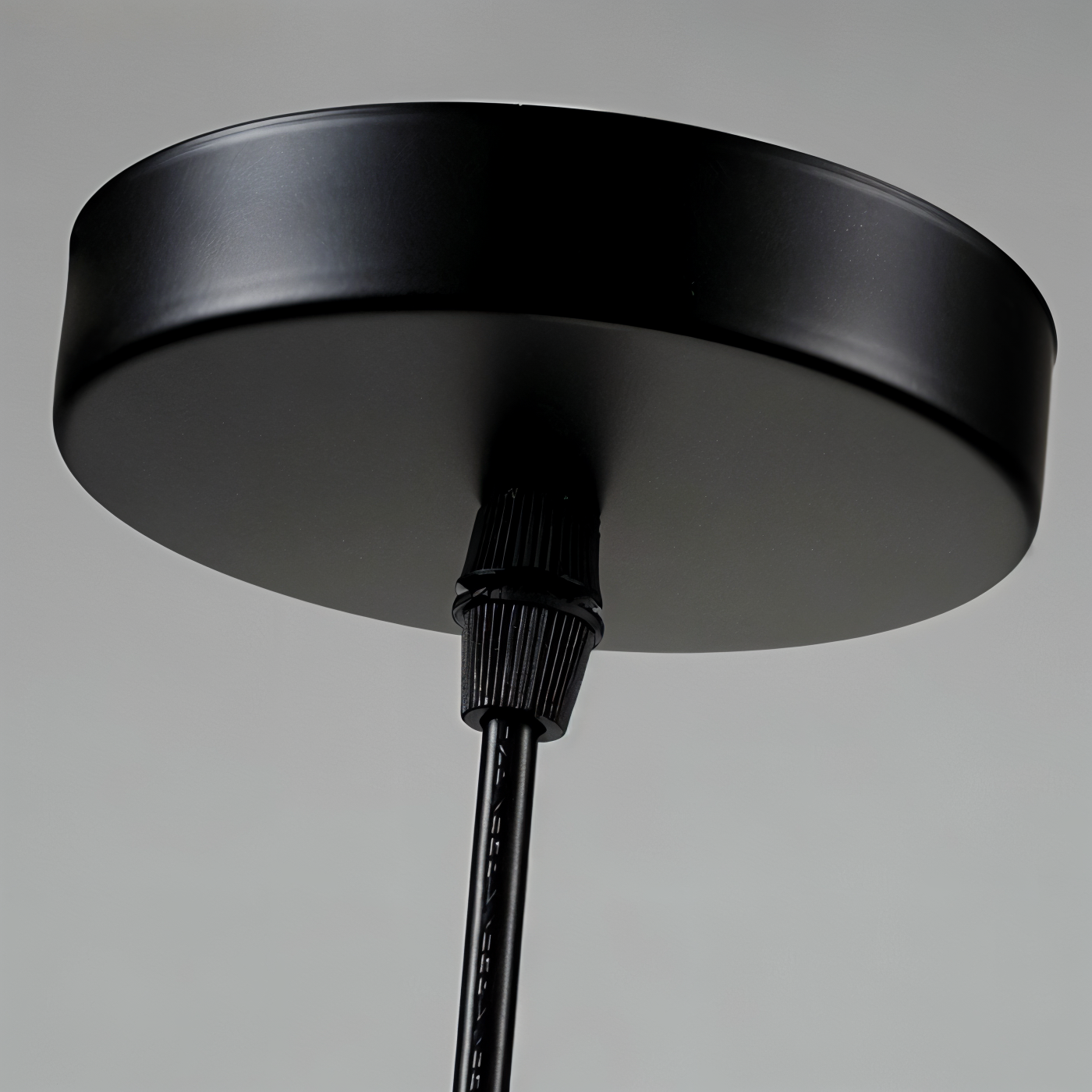 Zoo glas pendel - dekorativ nordisk tegneserie dyr led hængende lampe